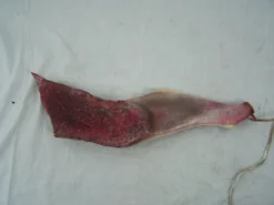 Dapper Cadaver Workshop Gory Butcher Shop Goat Quarters 2 Piece