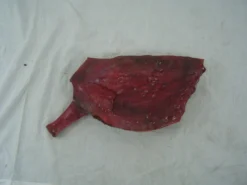 Dapper Cadaver Workshop Gory Butcher Shop Goat Quarters 2 Piece