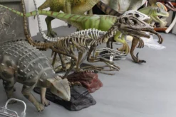 LM Treasures 10 Ft Long Raptor Skeleton Rental