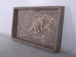 LM Treasures Raptor Skeleton Dig Box Rental