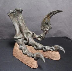 Gaston Design Dinosaur Props Large Raptor Foot With Base Rental