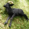 Rachael Lee Goodman Farm Animal Props Black Ram Goat Prop - Special Order
