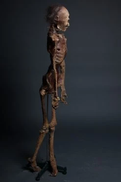 Dapper Cadaver Workshop Remy Mummy