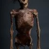 Dapper Cadaver Workshop Remy Mummy