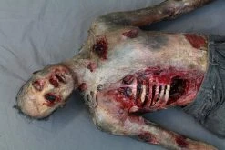 Dapper Cadaver Workshop Rotten Ribs Alan Dummy