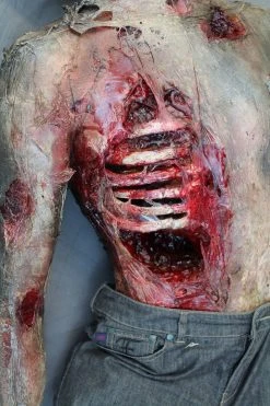 Dapper Cadaver Workshop Rotten Ribs Alan Dummy