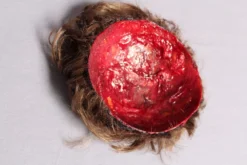 Dapper Cadaver Workshop Miscellaneous Body Parts Scalp