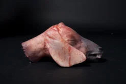 Dapper Cadaver Workshop Severed Goat Head Gory Butcher Shop