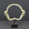 Design Toscano Replica Shark Jaws Reptiles, Sealife & More