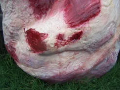 Dapper Cadaver Workshop Butcher Shop Side Of Beef Exterior Flatback