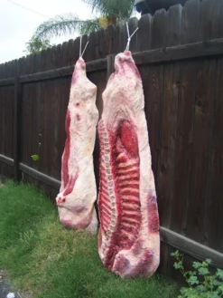 Dapper Cadaver Workshop Side Of Beef Flatback Pair