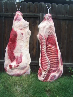 Dapper Cadaver Workshop Side Of Beef Flatback Pair