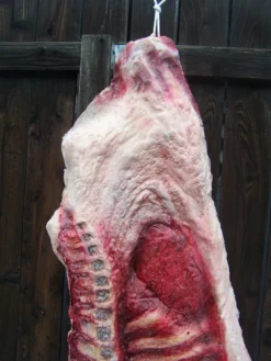 Dapper Cadaver Workshop Side Of Beef Ribs Flatback