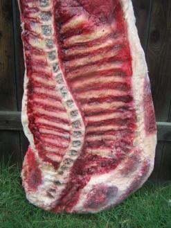 Dapper Cadaver Workshop Side Of Beef Ribs Flatback 5 Dapper Cadaver Workshop Side Of Beef Ribs Flatback