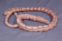 Dapper Cadaver Workshop Prop Organs Silicone Large Intestine