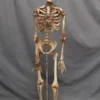 Dapper Cadaver Workshop Skin And Bones Skeleton Skeletons, Skulls & Bones