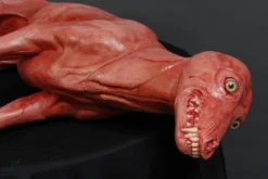 Dapper Cadaver Workshop Farm Animal Props Bloody Skinned Coyote