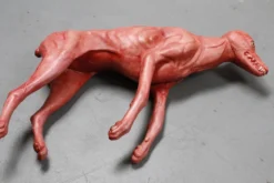 Dapper Cadaver Workshop Farm Animal Props Bloody Skinned Coyote