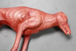 Dapper Cadaver Workshop Farm Animal Props Bloody Skinned Coyote