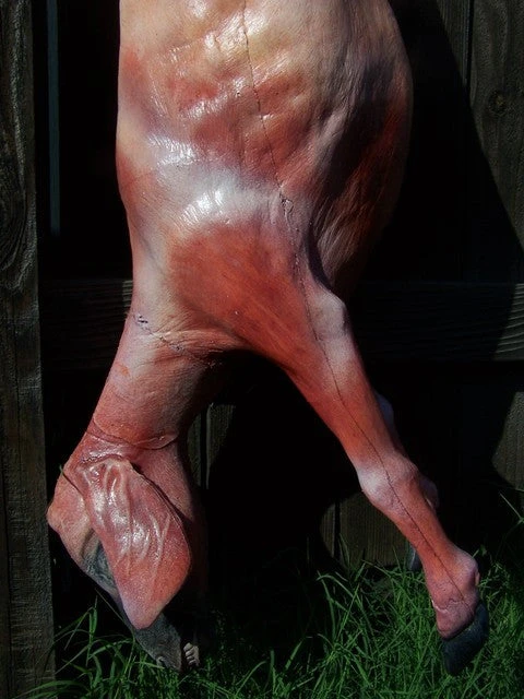 Dapper Cadaver Workshop Skinned Goat Gory Butcher Shop 6 Dapper Cadaver Workshop Skinned Goat Gory Butcher Shop