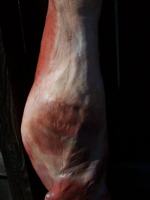 Dapper Cadaver Workshop Skinned Goat Gory Butcher Shop 3 Dapper Cadaver Workshop Skinned Goat Gory Butcher Shop