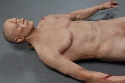 Dapper Cadaver Workshop Slashed David Wounded