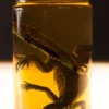 Dapper Cadaver Workshop Small Iguana Replica Specimen Jar New Haunt Props