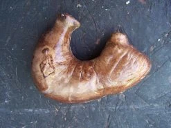 Dapper Cadaver Workshop Small Prop Stomach