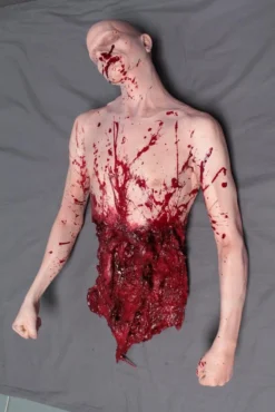 Dapper Cadaver Workshop Gory Body Parts Split Alan Torso