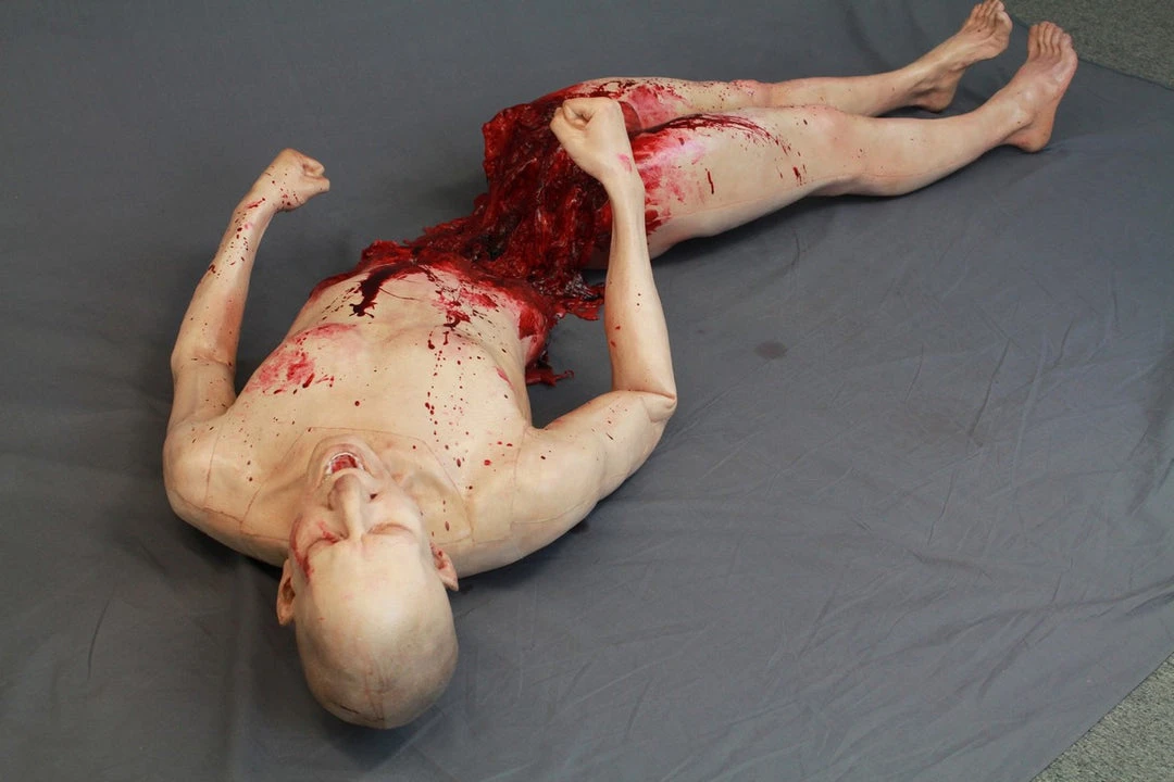 Dapper Cadaver Workshop Split In Half Martin 2 Pc Gory Bodies 1 Dapper Cadaver Workshop Split In Half Martin 2 Pc Gory Bodies