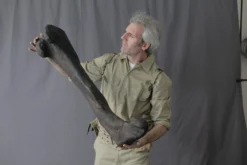 Gaston Design Dinosaur Props Stunt Dinosaur Femur Rental