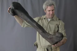 Gaston Design Dinosaur Props Stunt Dinosaur Femur Rental