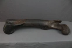 Gaston Design Dinosaur Props Stunt Dinosaur Femur Rental