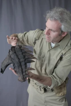 Gaston Design Stunt Dinosaur Skull Fragment Rental