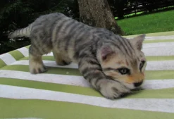 Rachael Lee Goodman Gray Tabby Kitten Prop - Special Order Dog & Cat Props