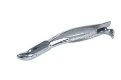 Shelter Surgical Distribution Tooth Extractor Science Decor