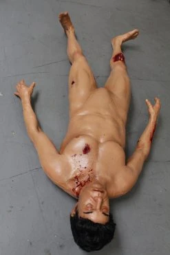 Dapper Cadaver Workshop Dura Severe Trauma Ben Body Wounded