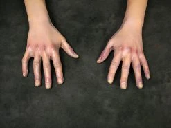 Dapper Cadaver Workshop Fake Arms Jessica Arms - Female