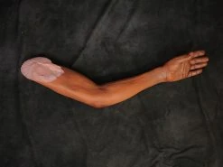 Dapper Cadaver Workshop Fake Arms Joe Arms - Male