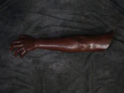 Dapper Cadaver Workshop Fake Arms Kristina Arm - Female