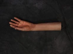 Dapper Cadaver Workshop Leslie Half Arms Fake Arms