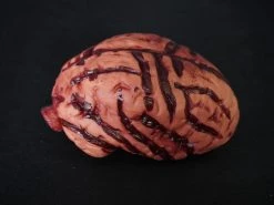 Morris Costumes Brain Prop, Medium Prop Organs