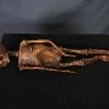 Dapper Cadaver Workshop Mummified Infant Decayed & Mummy