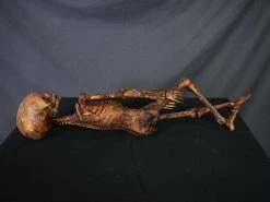 Dapper Cadaver Workshop Mummified Infant Decayed & Mummy