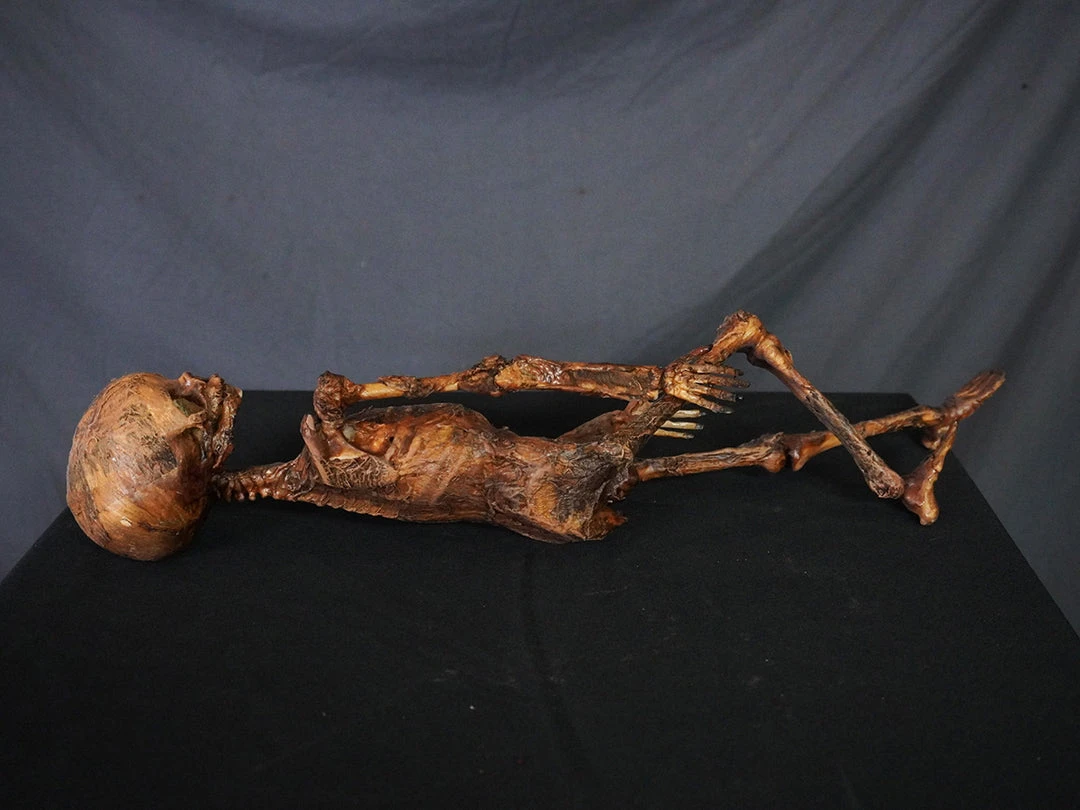 Dapper Cadaver Workshop Mummified Infant Decayed & Mummy 2 Dapper Cadaver Workshop Mummified Infant Decayed & Mummy