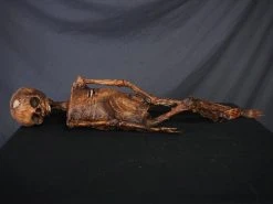 Dapper Cadaver Workshop Mummified Infant Decayed & Mummy 5 Dapper Cadaver Workshop Mummified Infant Decayed & Mummy
