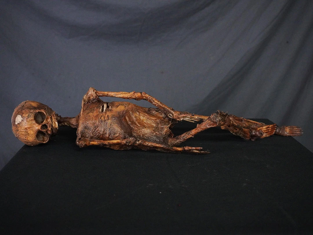 Dapper Cadaver Workshop Mummified Infant Decayed & Mummy 3 Dapper Cadaver Workshop Mummified Infant Decayed & Mummy