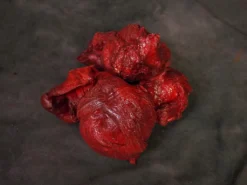 Dapper Cadaver Workshop Mutilation Chunk - 1 Piece Butcher Shop