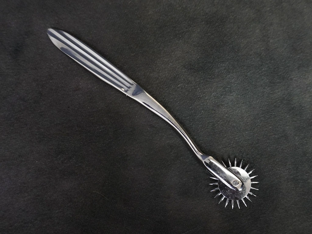 Shelter Surgical Distribution Neural Pinwheel Science Decor 1 Shelter Surgical Distribution Neural Pinwheel Science Decor