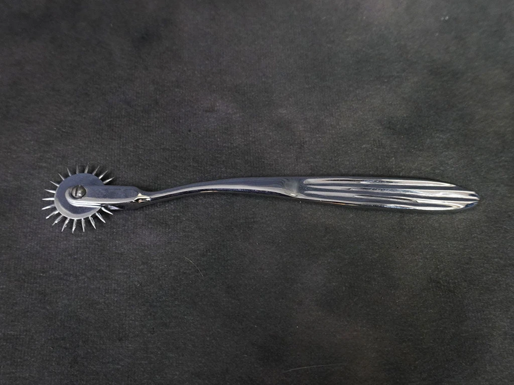 Shelter Surgical Distribution Neural Pinwheel Science Decor 2 Shelter Surgical Distribution Neural Pinwheel Science Decor